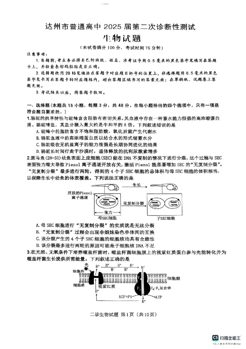 四川省达州市普通高中2025届第二次诊断性测试生物_2025年4月_250417四川省达州市普通高中2025届第二次诊断性测试（达州二诊）（全科）