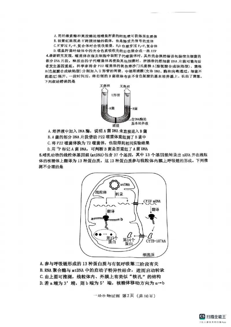 四川省达州市普通高中2025届第二次诊断性测试生物_2025年4月_250417四川省达州市普通高中2025届第二次诊断性测试（达州二诊）（全科）