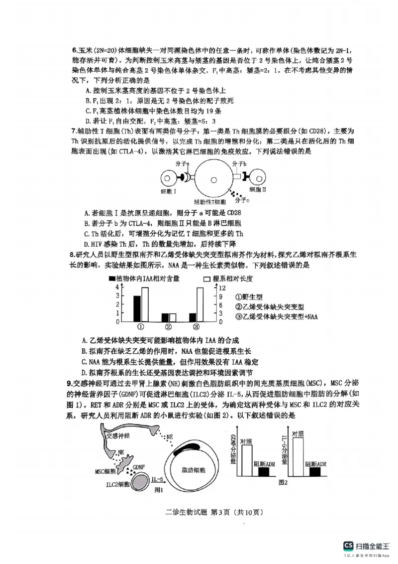 四川省达州市普通高中2025届第二次诊断性测试生物_2025年4月_250417四川省达州市普通高中2025届第二次诊断性测试（达州二诊）（全科）