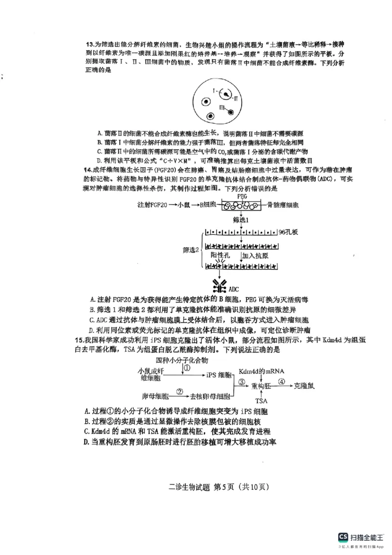 四川省达州市普通高中2025届第二次诊断性测试生物_2025年4月_250417四川省达州市普通高中2025届第二次诊断性测试（达州二诊）（全科）