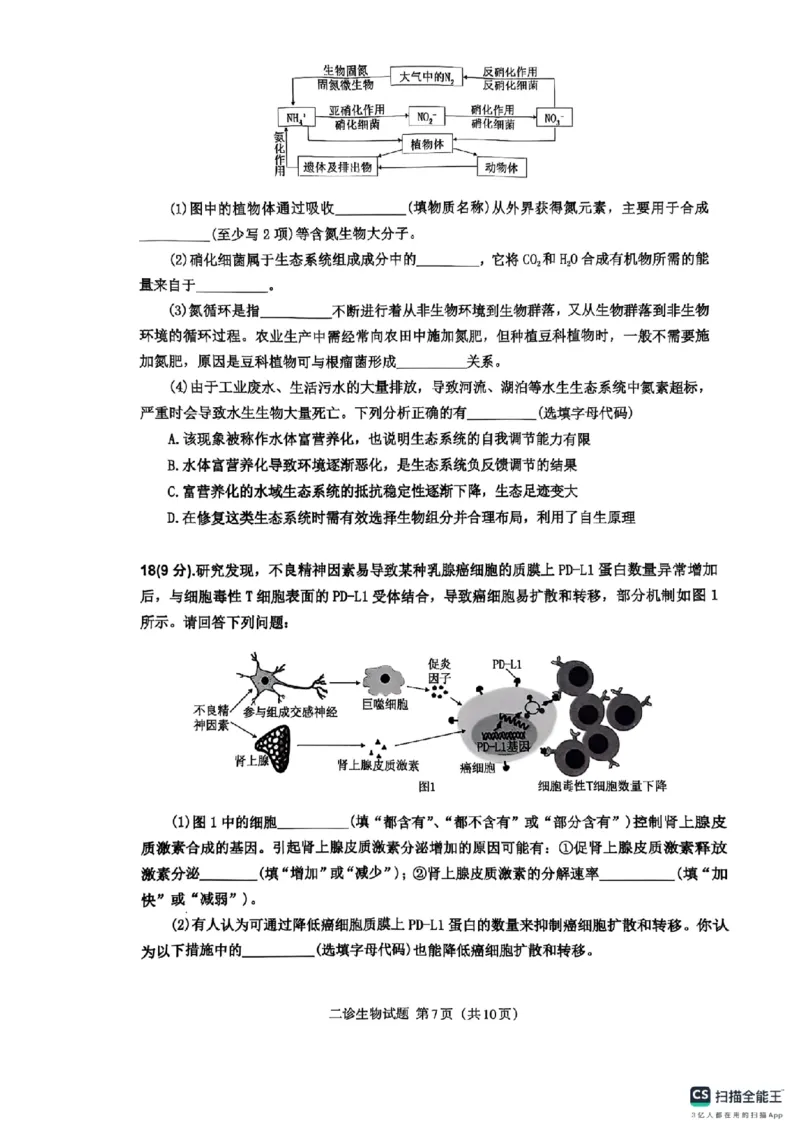 四川省达州市普通高中2025届第二次诊断性测试生物_2025年4月_250417四川省达州市普通高中2025届第二次诊断性测试（达州二诊）（全科）
