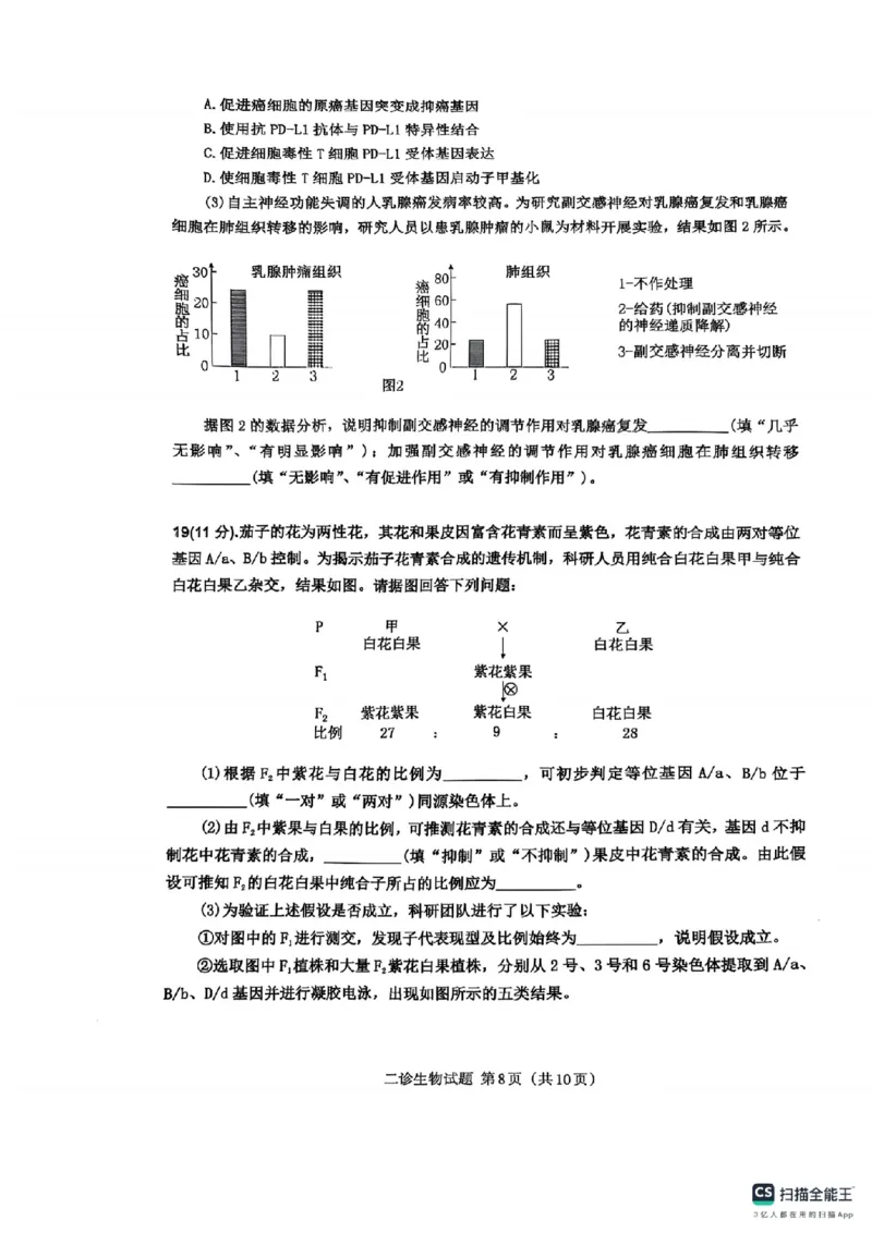 四川省达州市普通高中2025届第二次诊断性测试生物_2025年4月_250417四川省达州市普通高中2025届第二次诊断性测试（达州二诊）（全科）