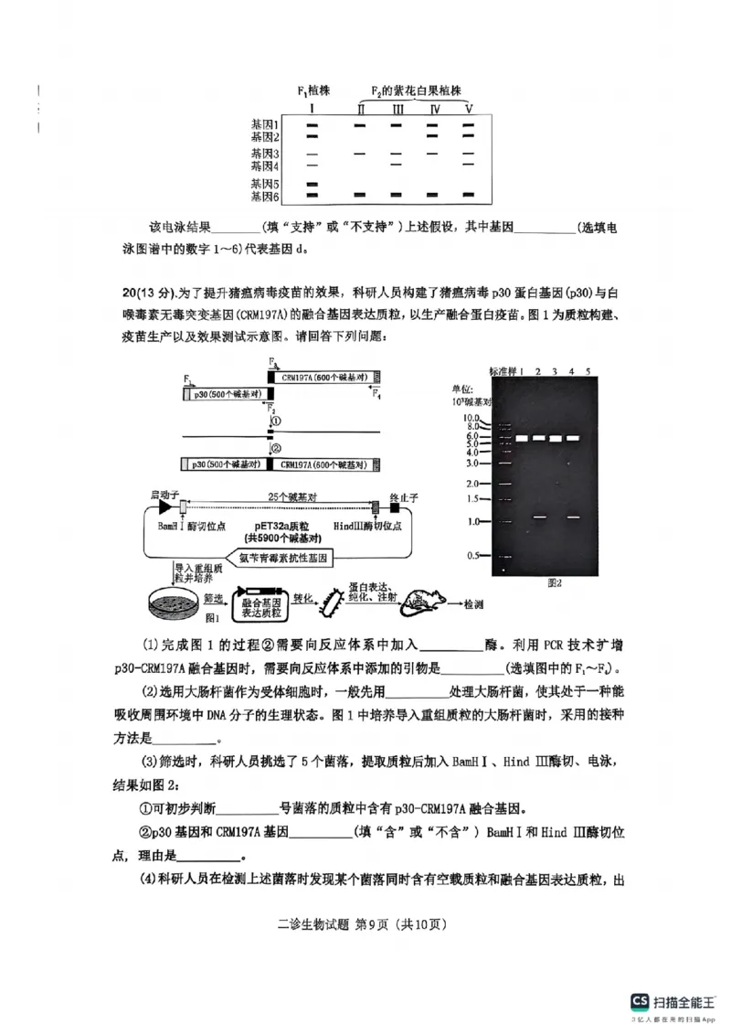 四川省达州市普通高中2025届第二次诊断性测试生物_2025年4月_250417四川省达州市普通高中2025届第二次诊断性测试（达州二诊）（全科）