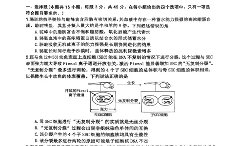 四川省达州市普通高中2025届第二次诊断性测试生物_2025年4月_250417四川省达州市普通高中2025届第二次诊断性测试（达州二诊）（全科）