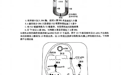 四川省达州市普通高中2025届第二次诊断性测试生物_2025年4月_250417四川省达州市普通高中2025届第二次诊断性测试（达州二诊）（全科）
