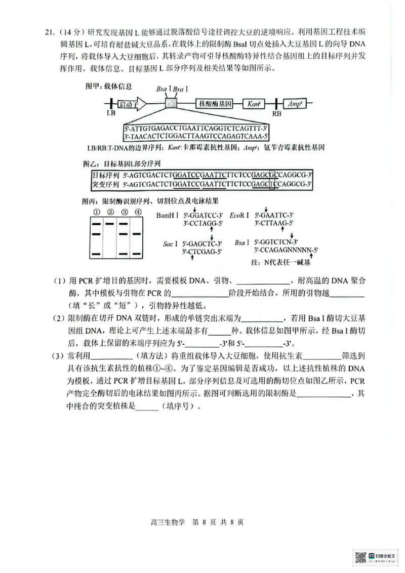 生物_2025年8月_250822广西省&ldquo;贵百河一南宁二中、武鸣高中&rdquo;2026届8月高三摸底考试（全科）_2026届&ldquo;贵百河一南宁二中、武鸣高中&rdquo;8月高三摸底考试生物试题（含答案）
