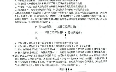 生物_2025年8月_250822广西省&ldquo;贵百河一南宁二中、武鸣高中&rdquo;2026届8月高三摸底考试（全科）_2026届&ldquo;贵百河一南宁二中、武鸣高中&rdquo;8月高三摸底考试生物试题（含答案）