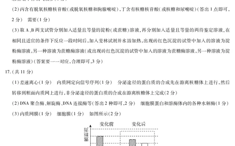 生物学安徽高三年级十月调研考试简答_2025年10月_251018安徽天一大联考豫皖联考2026届高三上学期十月调研考试（全科）_安徽高三年级十月调研考试答案