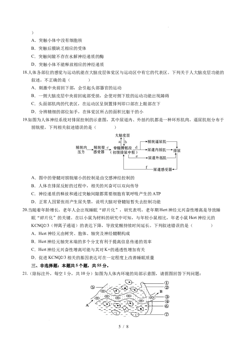 高二生物上学期第一次月考02测试范围：第1-2章（考试版）（人教版2019）_1多考区联考试卷_2510142025-2026学年高二生物上学期第一次月考试题