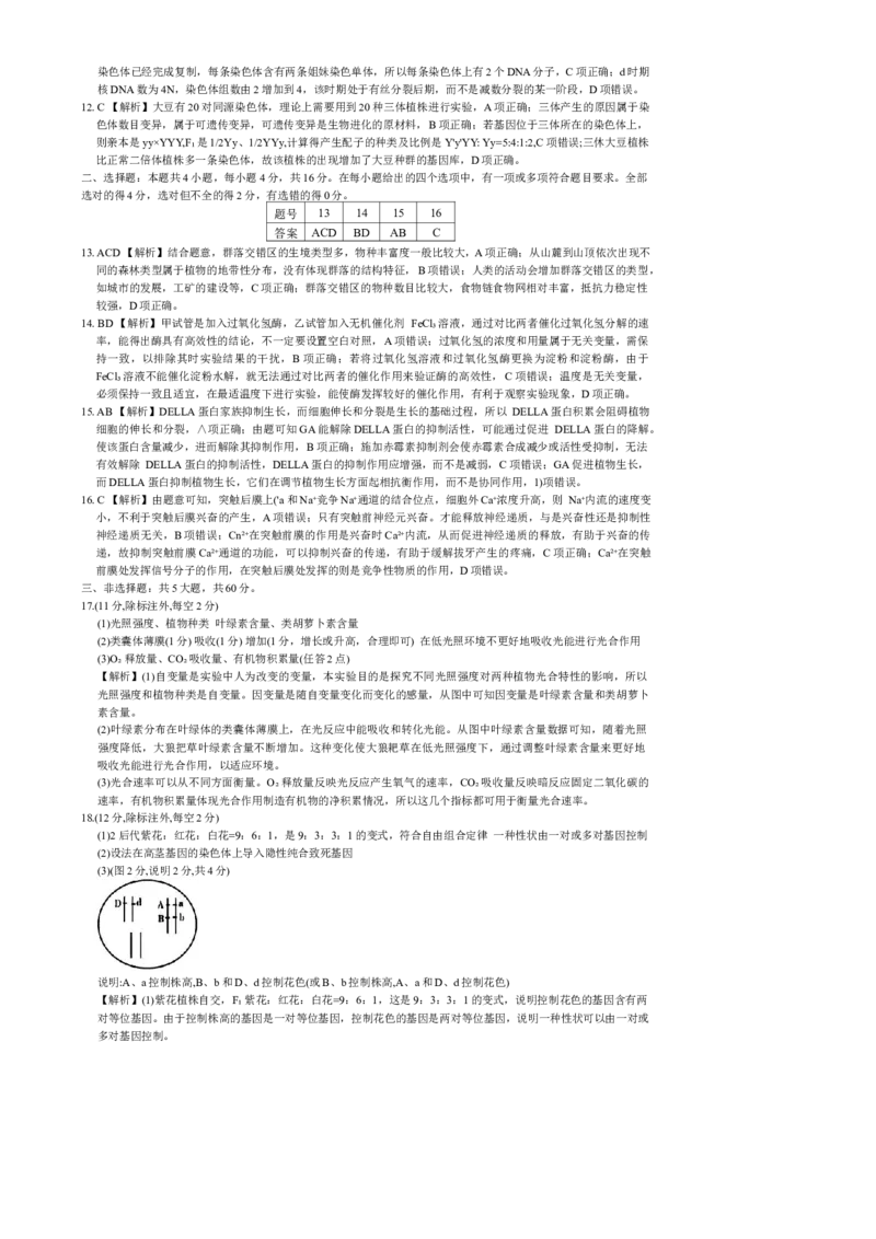 湖南省炎德英才名校联合体2025届高考考前仿真联考二生物+答案_2025年5月_250511湖南&middot;名校联考联合体2025届高考考前仿真联考二