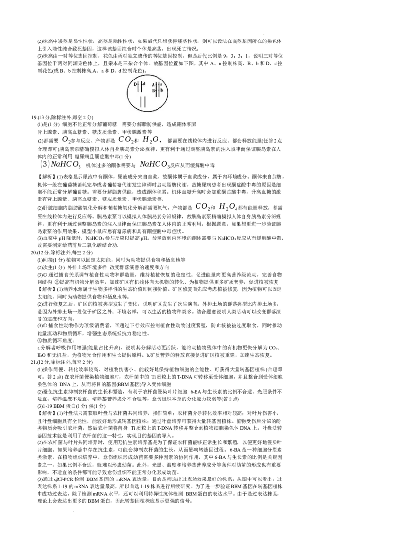 湖南省炎德英才名校联合体2025届高考考前仿真联考二生物+答案_2025年5月_250511湖南&middot;名校联考联合体2025届高考考前仿真联考二