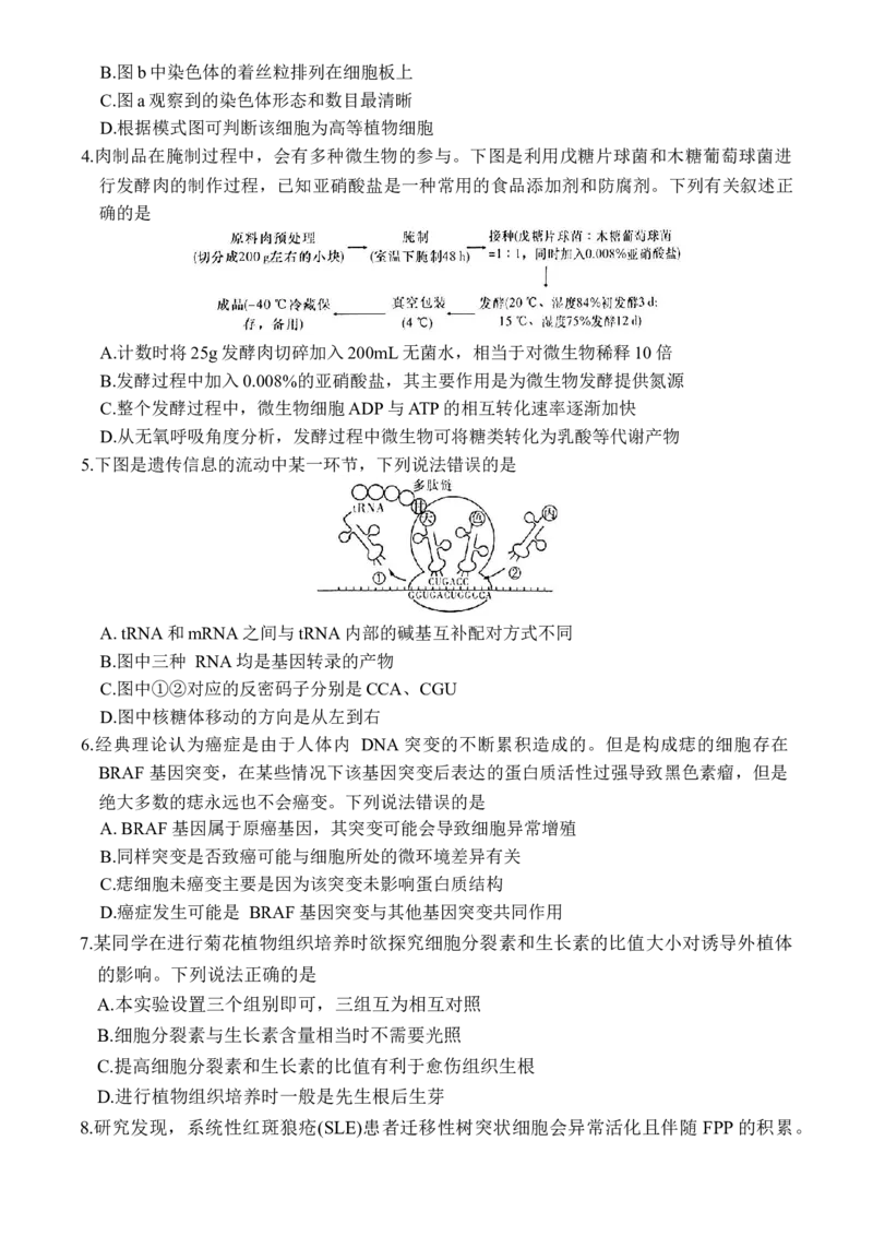 湖南省炎德英才名校联合体2025届高考考前仿真联考二生物+答案_2025年5月_250511湖南&middot;名校联考联合体2025届高考考前仿真联考二
