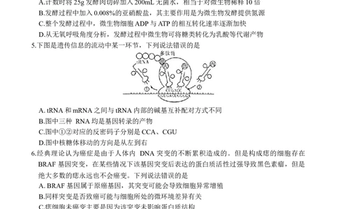 湖南省炎德英才名校联合体2025届高考考前仿真联考二生物+答案_2025年5月_250511湖南&middot;名校联考联合体2025届高考考前仿真联考二