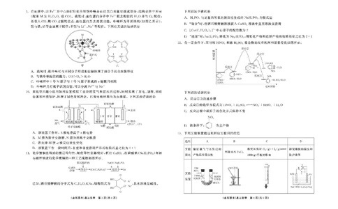 辽宁省点石联考2025届高三上学期1月期末考试化学试题（含答案）_2025年1月_250112辽宁省点石联考2025届高三上学期1月期末考试