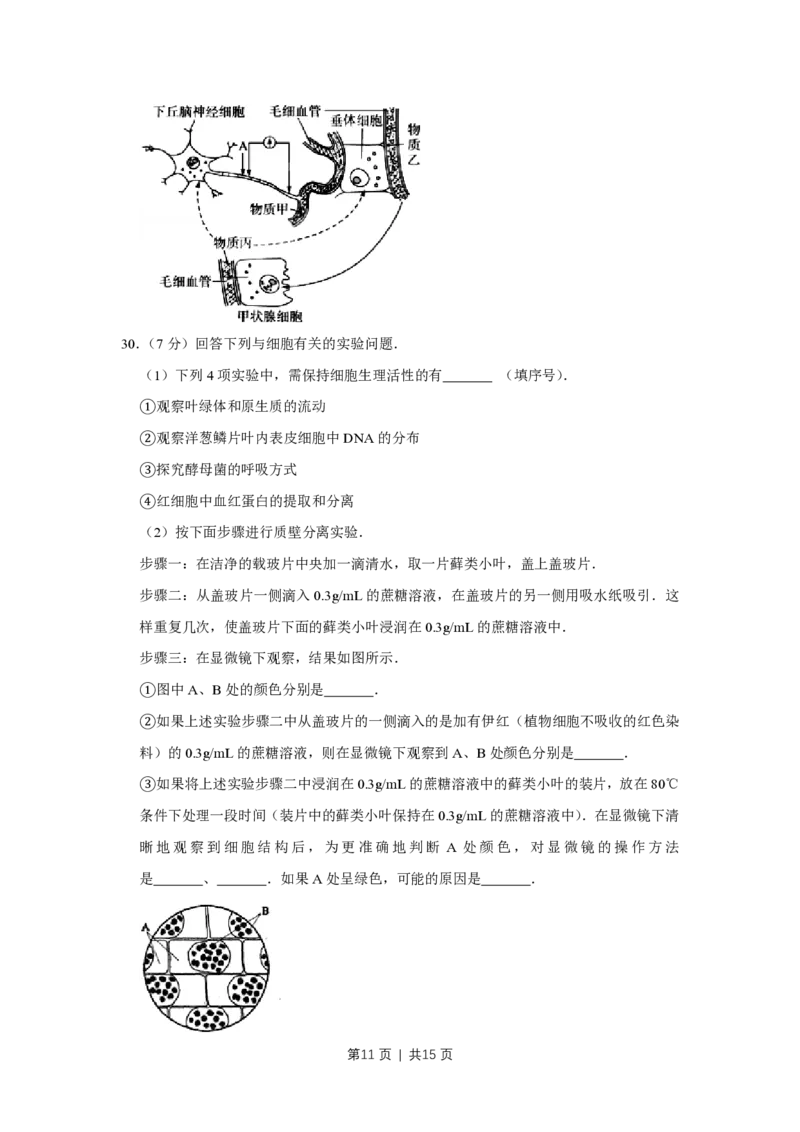 2009年高考生物试卷（江苏）（空白卷）_生物历年高考真题_新&middot;PDF版2008-2025&middot;高考生物真题_生物（按省份分类）2008-2025_2008-2025&middot;（江苏）生物高考真题