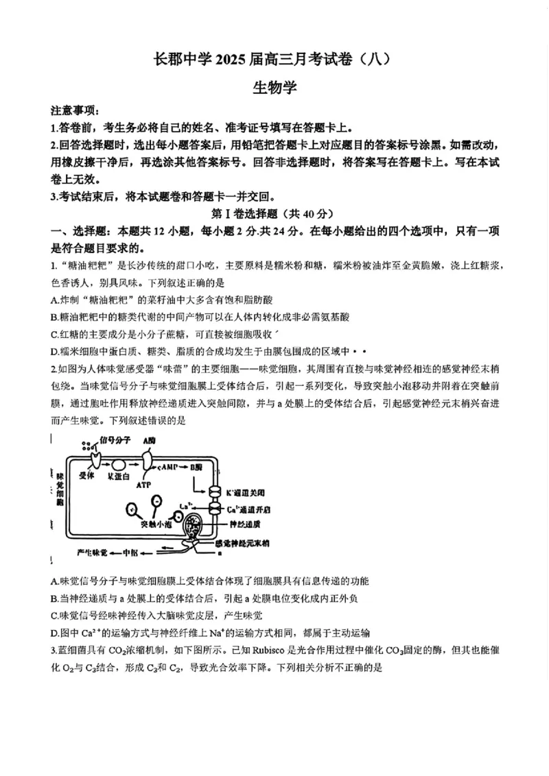 湖南省长沙市长郡中学2025届高三下学期4月月考（八）生物试题+答案_2025年4月_250416湖南省长沙市长郡中学2024-2025学年高三下学期月考（八）（全科）