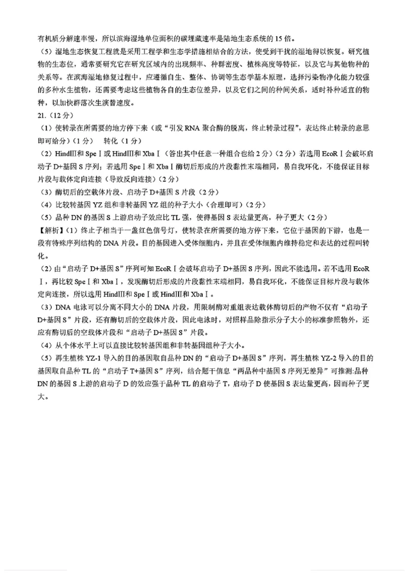 湖南省长沙市长郡中学2025届高三下学期4月月考（八）生物试题+答案_2025年4月_250416湖南省长沙市长郡中学2024-2025学年高三下学期月考（八）（全科）