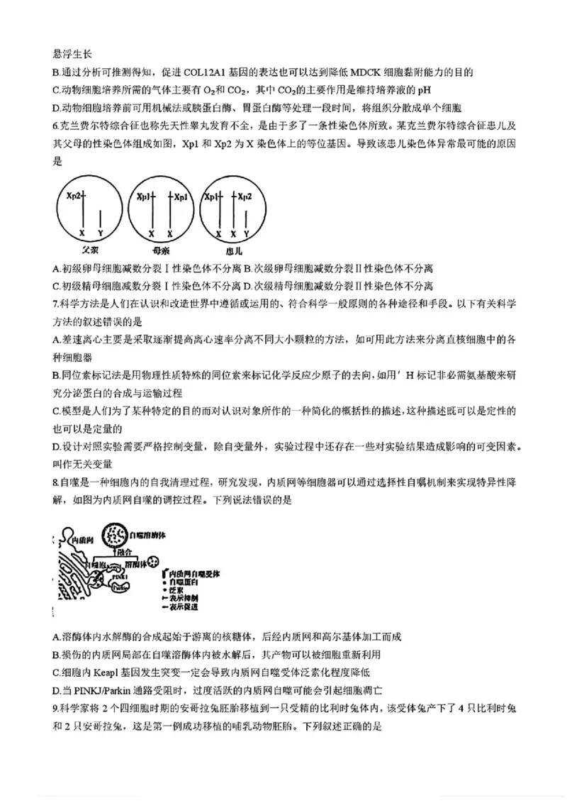湖南省长沙市长郡中学2025届高三下学期4月月考（八）生物试题+答案_2025年4月_250416湖南省长沙市长郡中学2024-2025学年高三下学期月考（八）（全科）