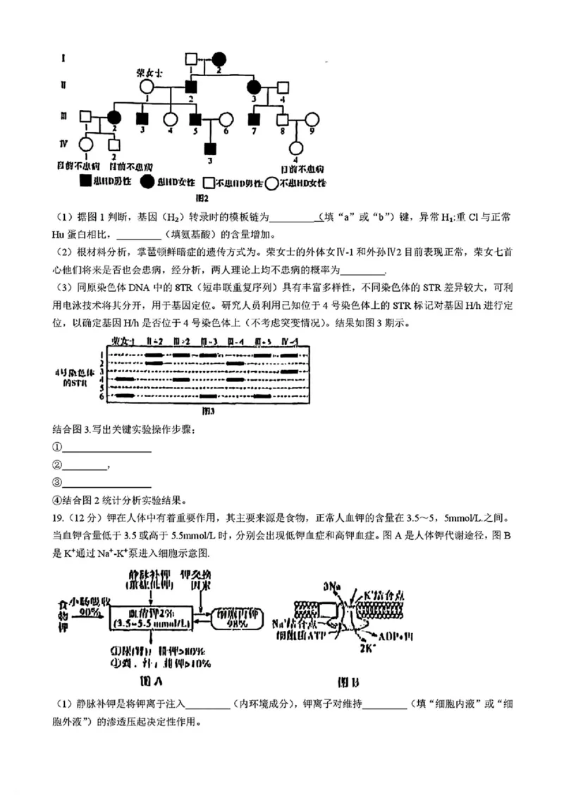 湖南省长沙市长郡中学2025届高三下学期4月月考（八）生物试题+答案_2025年4月_250416湖南省长沙市长郡中学2024-2025学年高三下学期月考（八）（全科）