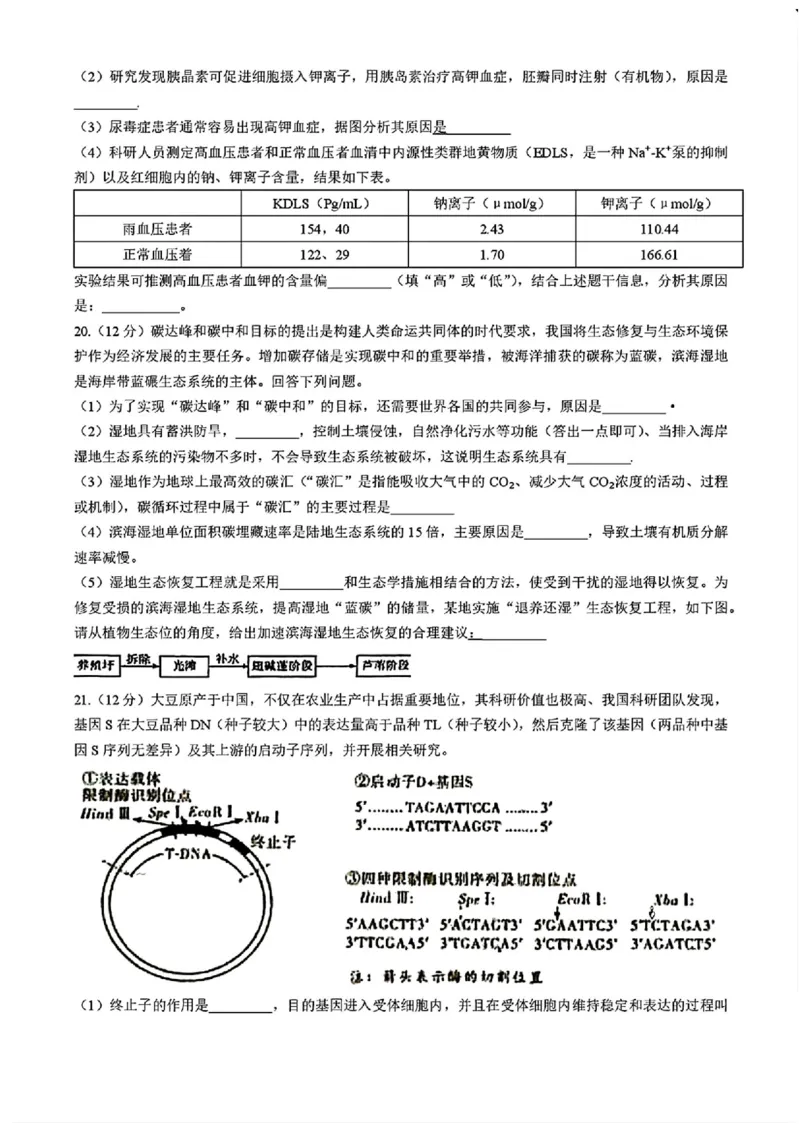 湖南省长沙市长郡中学2025届高三下学期4月月考（八）生物试题+答案_2025年4月_250416湖南省长沙市长郡中学2024-2025学年高三下学期月考（八）（全科）