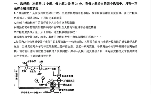 湖南省长沙市长郡中学2025届高三下学期4月月考（八）生物试题+答案_2025年4月_250416湖南省长沙市长郡中学2024-2025学年高三下学期月考（八）（全科）