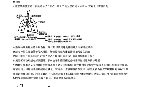 湖南省长沙市长郡中学2025届高三下学期4月月考（八）生物试题+答案_2025年4月_250416湖南省长沙市长郡中学2024-2025学年高三下学期月考（八）（全科）