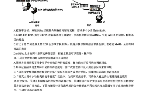 湖南省长沙市长郡中学2025届高三下学期4月月考（八）生物试题+答案_2025年4月_250416湖南省长沙市长郡中学2024-2025学年高三下学期月考（八）（全科）