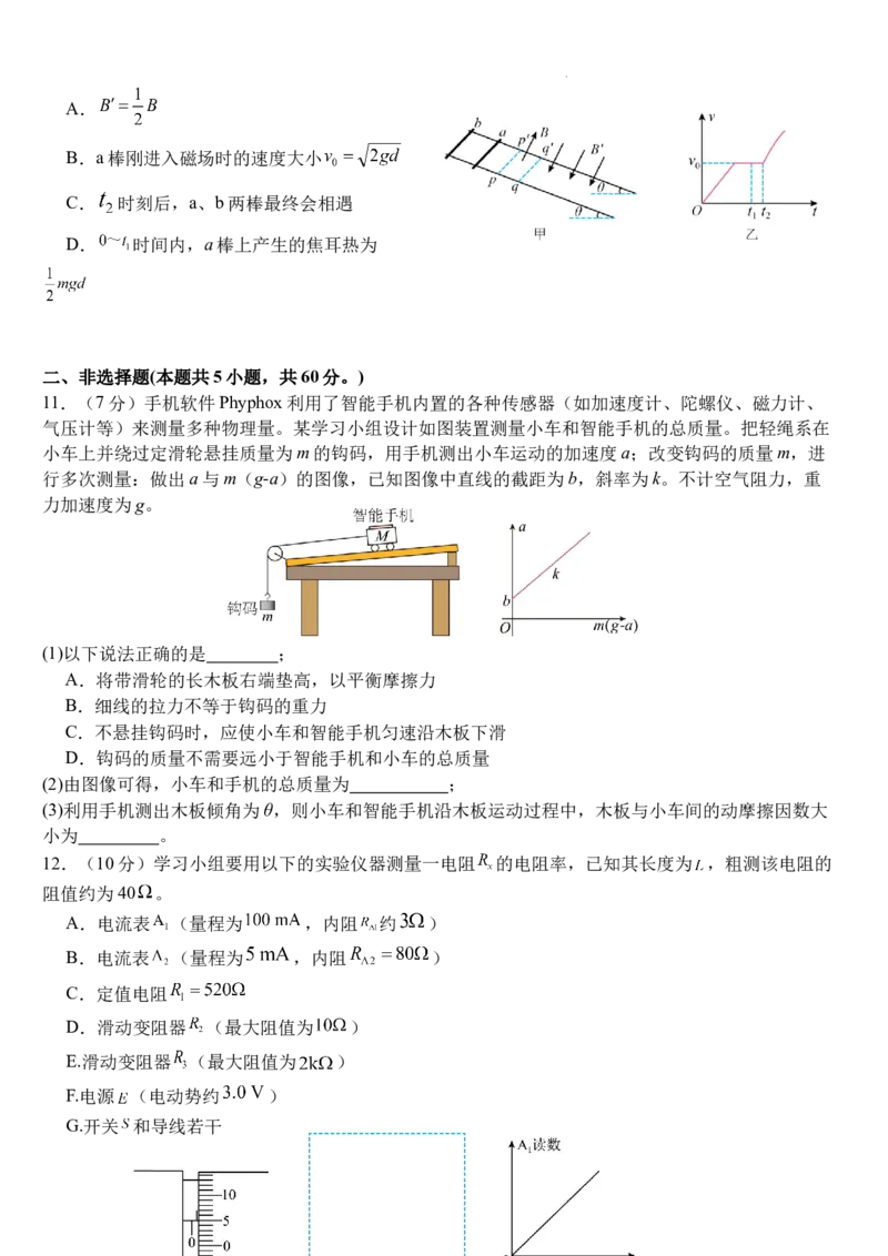 武汉二中2025届高三年级物理模拟卷_2025年5月_2505272025届湖北省武汉市第二中学高三模拟预测试题_2025届湖北省武汉市第二中学高三下学期5月模拟考试物理试卷