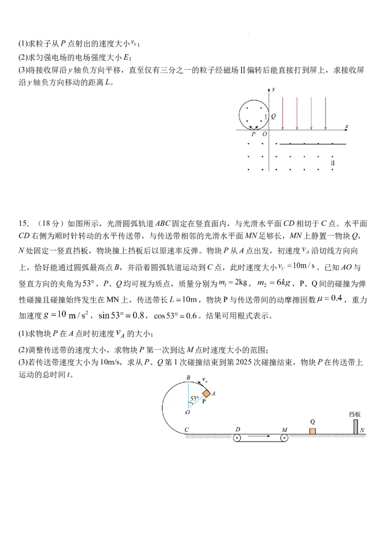 武汉二中2025届高三年级物理模拟卷_2025年5月_2505272025届湖北省武汉市第二中学高三模拟预测试题_2025届湖北省武汉市第二中学高三下学期5月模拟考试物理试卷