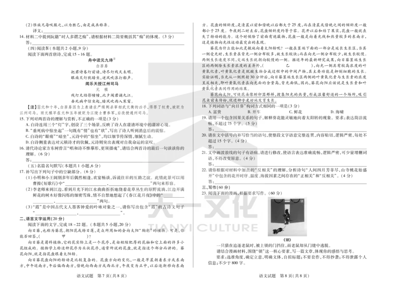 语文天一大联考&middot;2024-2025学年（下）高三第二次四省联考（陕西、山西、青海、宁夏）_2025年5月_天一大联考2024-2025学年（下）高三第二次四省联考（陕西、山西、青海、宁夏）