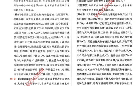 万向思维生物生物参考答案及深度解析_2024高考押题卷_112024高考快递全系列_（新高考）《万向思维&middot;高考快递高考押题卷》8套_万向思维&middot;高考快递高考押题卷8套生物