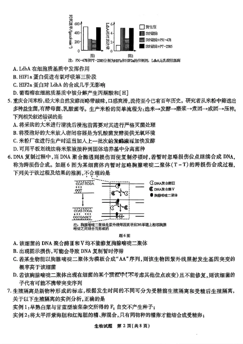 重庆市南开中学高2025届高三2月第六次质量检测生物试题_2025年2月_250218重庆市南开中学2025届高三第六次质量检测（全科）