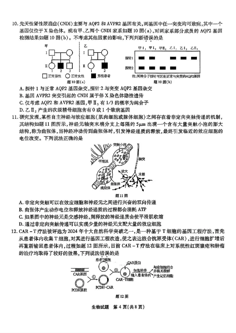 重庆市南开中学高2025届高三2月第六次质量检测生物试题_2025年2月_250218重庆市南开中学2025届高三第六次质量检测（全科）