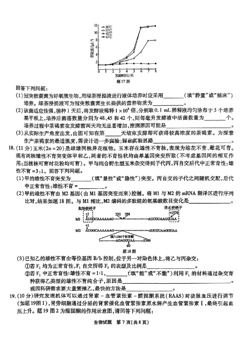 重庆市南开中学高2025届高三2月第六次质量检测生物试题_2025年2月_250218重庆市南开中学2025届高三第六次质量检测（全科）