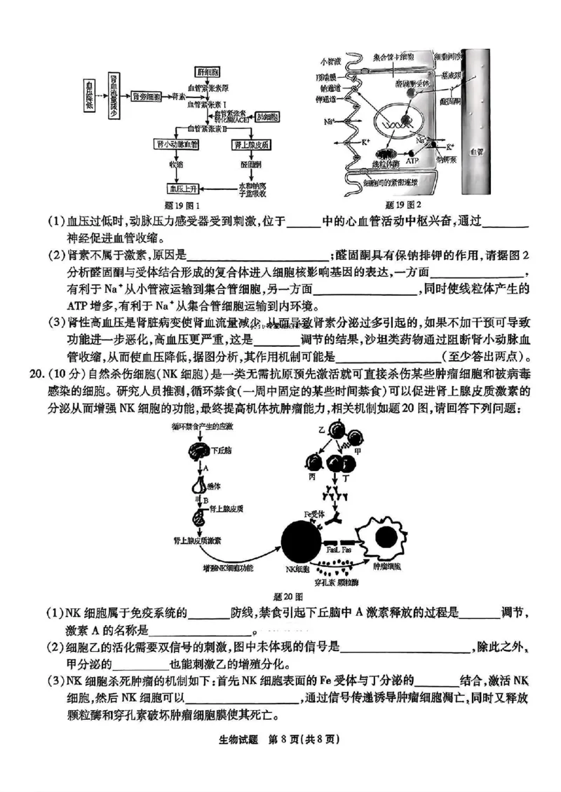 重庆市南开中学高2025届高三2月第六次质量检测生物试题_2025年2月_250218重庆市南开中学2025届高三第六次质量检测（全科）