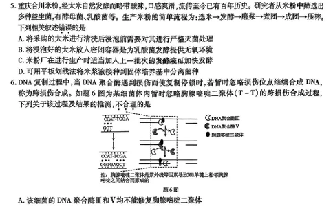 重庆市南开中学高2025届高三2月第六次质量检测生物试题_2025年2月_250218重庆市南开中学2025届高三第六次质量检测（全科）
