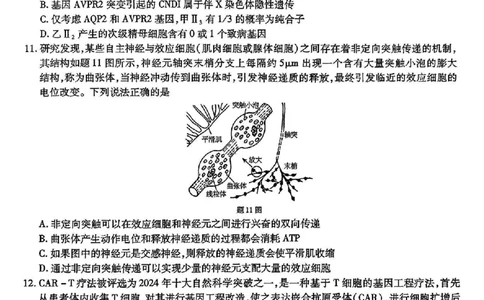 重庆市南开中学高2025届高三2月第六次质量检测生物试题_2025年2月_250218重庆市南开中学2025届高三第六次质量检测（全科）