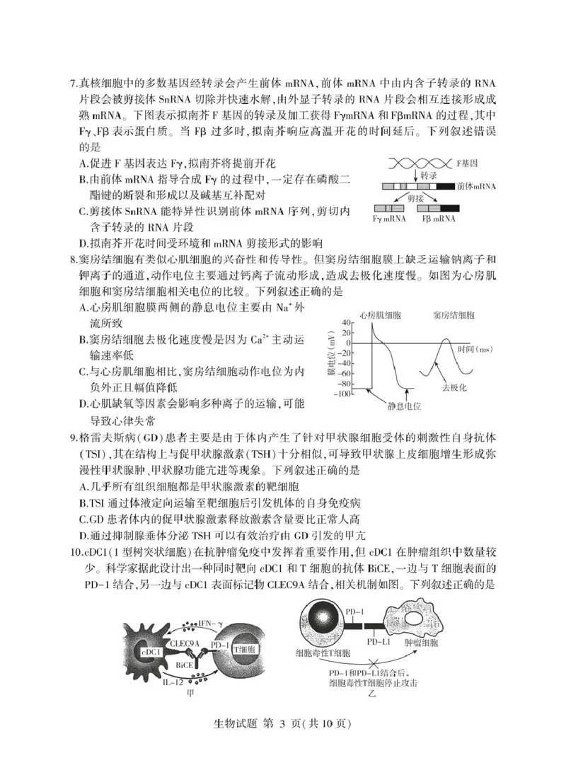 山东省临沂市2025年普通高等学校招生全国统一考试（模拟）（临沂一模）生物学试题（含答案）_2025年3月