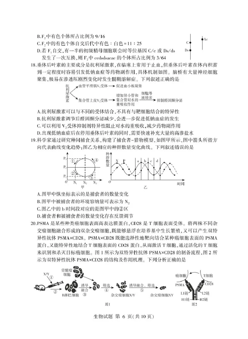 山东省临沂市2025年普通高等学校招生全国统一考试（模拟）（临沂一模）生物学试题（含答案）_2025年3月