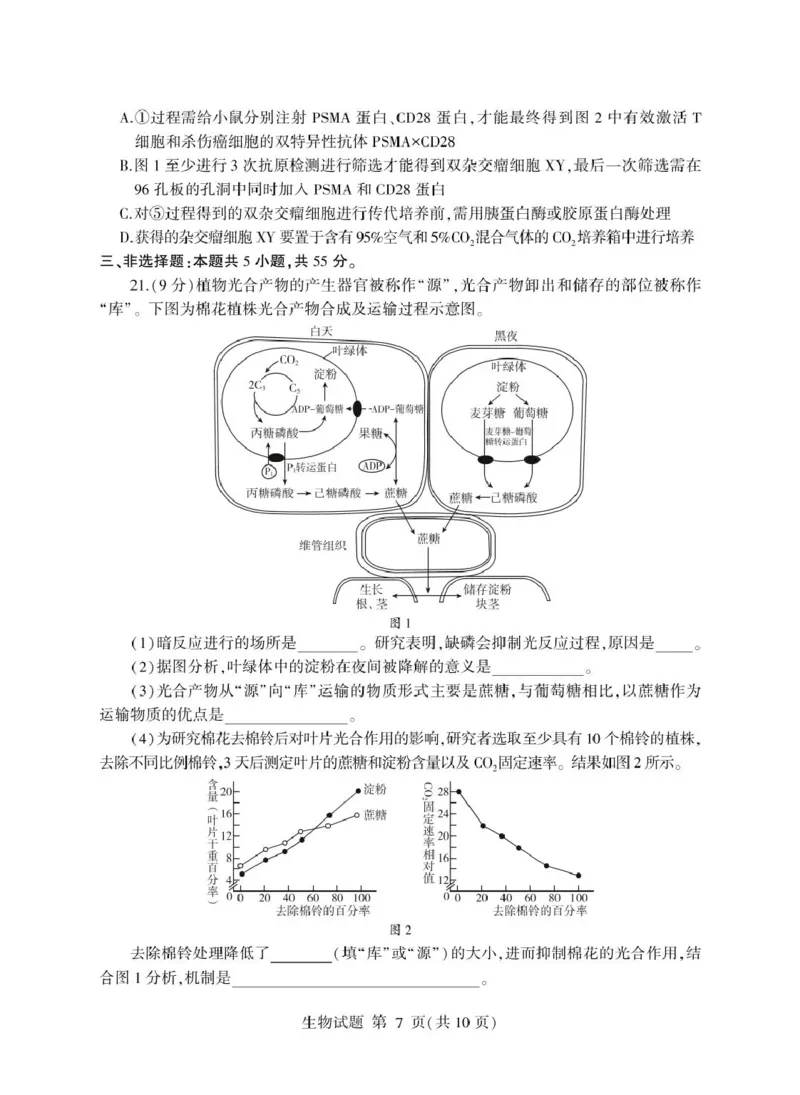 山东省临沂市2025年普通高等学校招生全国统一考试（模拟）（临沂一模）生物学试题（含答案）_2025年3月