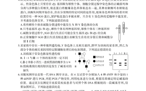 山东省临沂市2025年普通高等学校招生全国统一考试（模拟）（临沂一模）生物学试题（含答案）_2025年3月