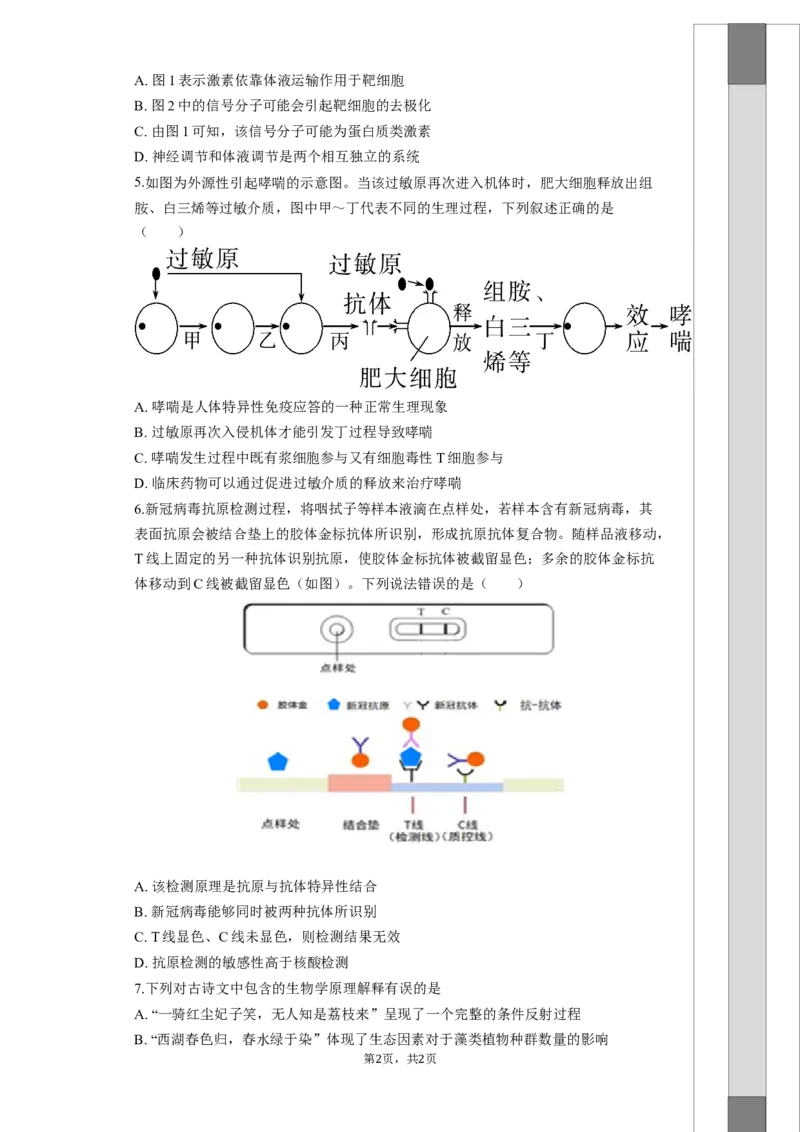 湖南省长沙大学附属中学2025-2026学年高三上学期10月月考生物试题（含答案）_2025年10月_12026年试卷教辅资源等多个文件