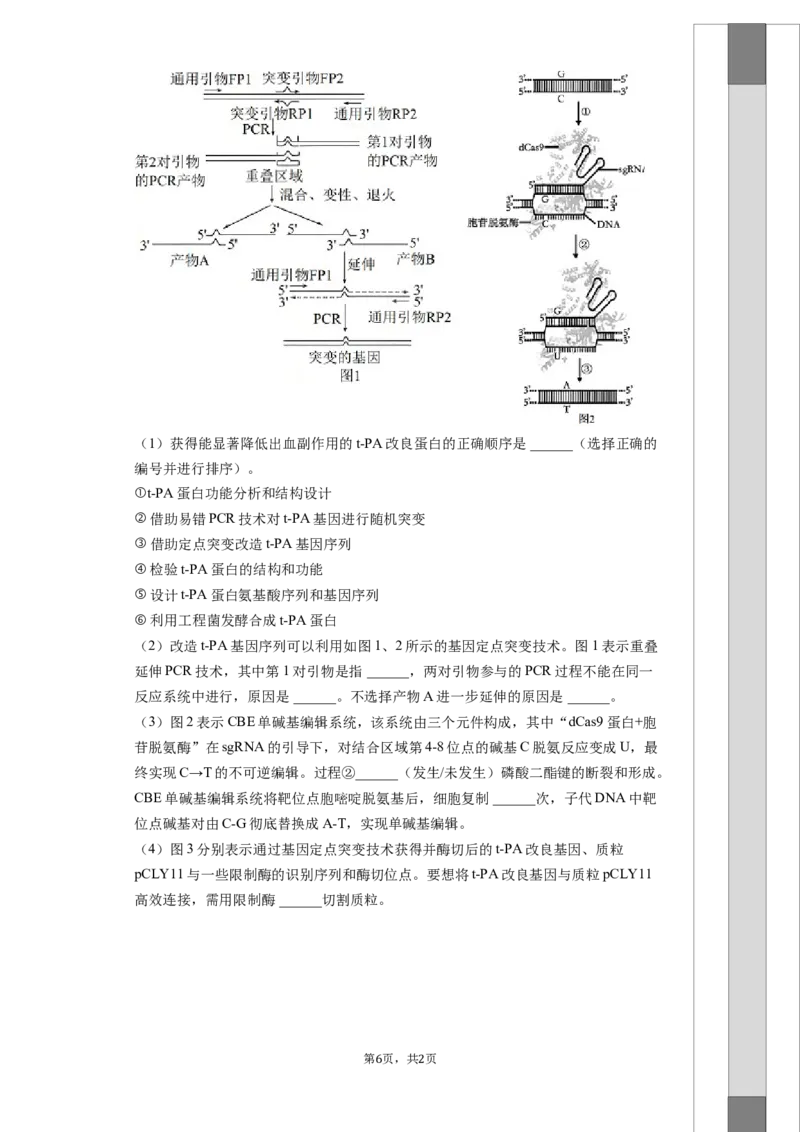 湖南省长沙大学附属中学2025-2026学年高三上学期10月月考生物试题（含答案）_2025年10月_12026年试卷教辅资源等多个文件