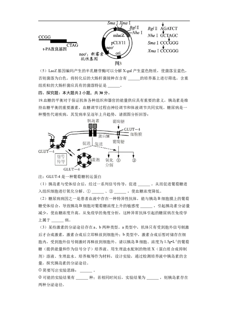 湖南省长沙大学附属中学2025-2026学年高三上学期10月月考生物试题（含答案）_2025年10月_12026年试卷教辅资源等多个文件
