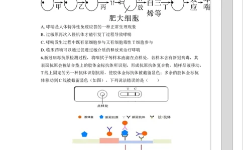 湖南省长沙大学附属中学2025-2026学年高三上学期10月月考生物试题（含答案）_2025年10月_12026年试卷教辅资源等多个文件