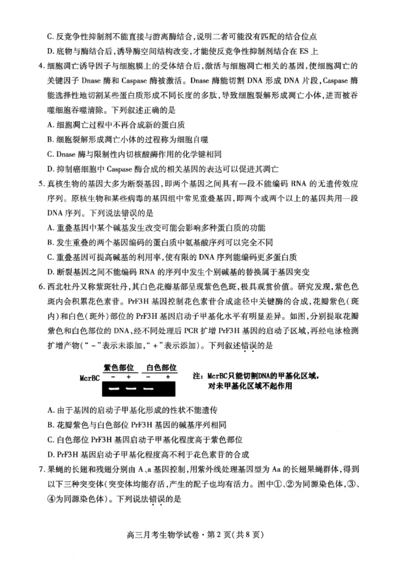 甘肃省2025年高三4月联考试卷生物+答案_2025年4月_250411甘肃省2025年高三4月联考试卷（甘肃二诊）（全科）