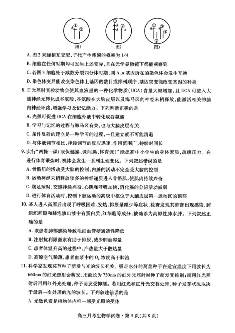 甘肃省2025年高三4月联考试卷生物+答案_2025年4月_250411甘肃省2025年高三4月联考试卷（甘肃二诊）（全科）