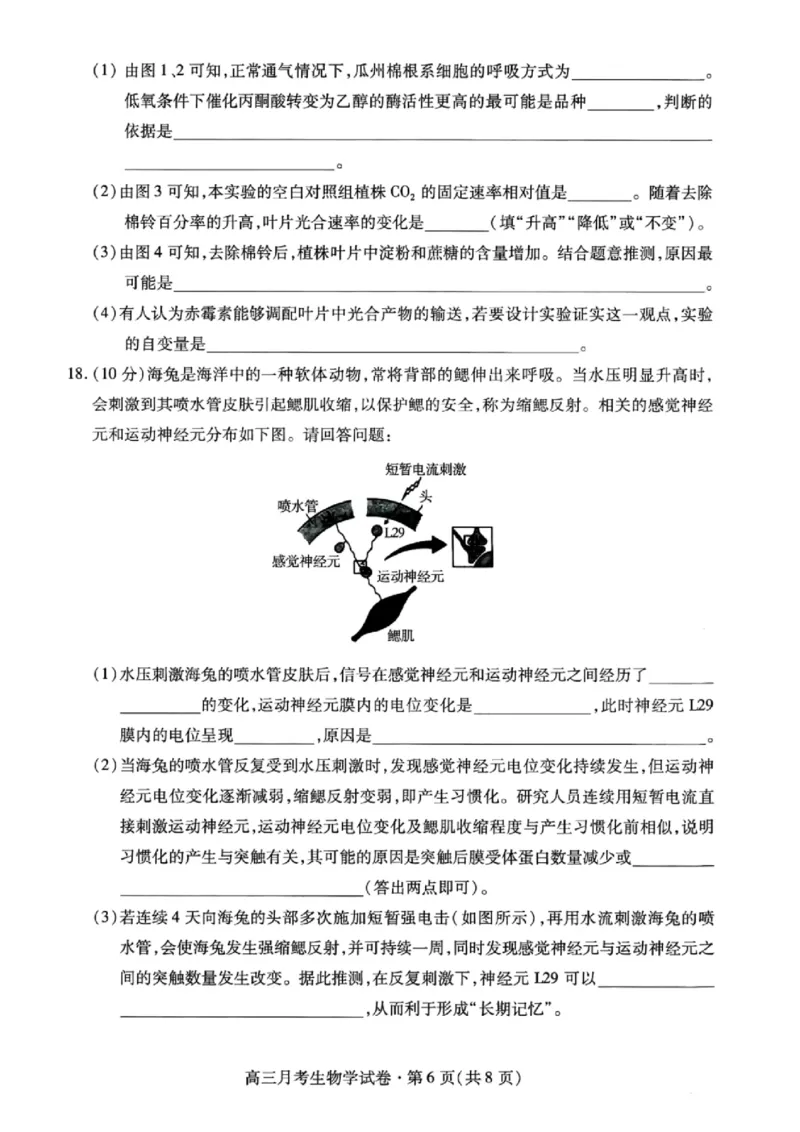 甘肃省2025年高三4月联考试卷生物+答案_2025年4月_250411甘肃省2025年高三4月联考试卷（甘肃二诊）（全科）