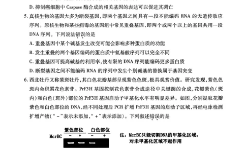 甘肃省2025年高三4月联考试卷生物+答案_2025年4月_250411甘肃省2025年高三4月联考试卷（甘肃二诊）（全科）