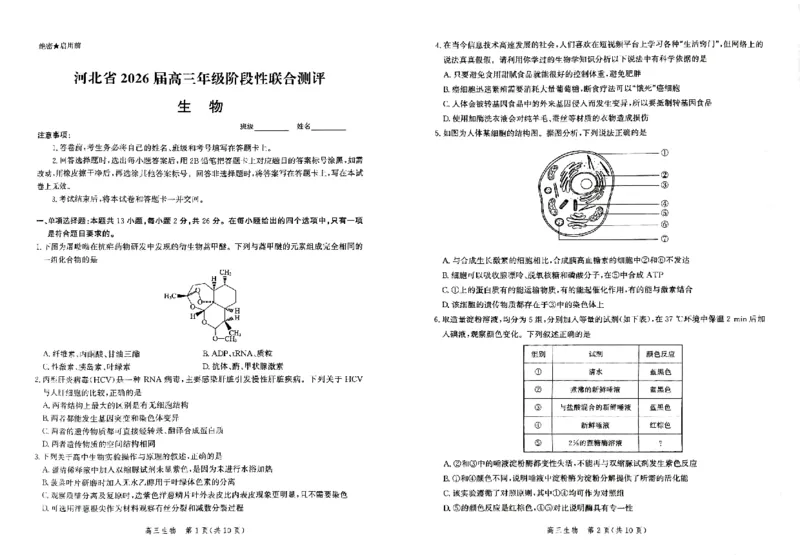 河北省2026届高三年级阶段性联合测评生物_2025年10月_251022河北省2026届高三年级阶段性联合测评（全科）